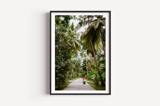 Framed photograph of a person riding a motorcycle on a tropical road with palm trees.